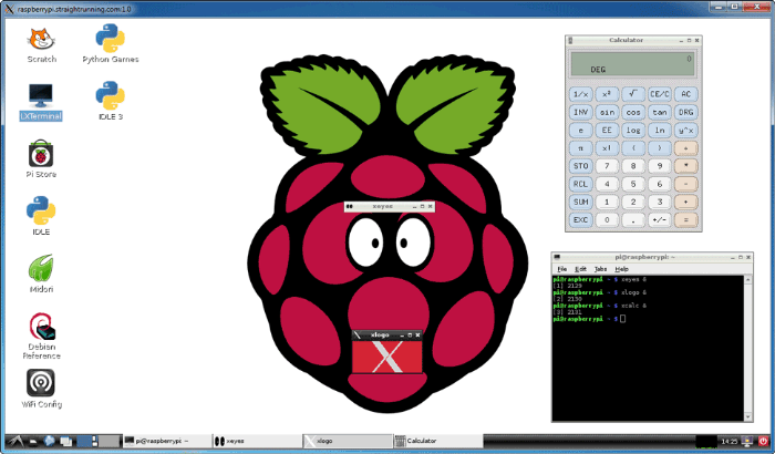 Xming with Raspberry Pi Desktop
