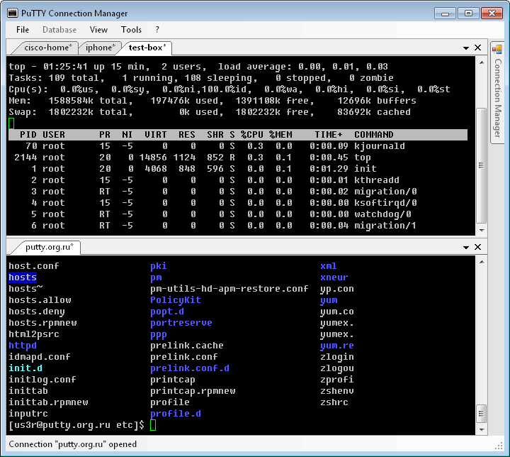 Multiple PuTTY Sessions in Panels