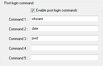 PuTTY Session - Execute commands after login