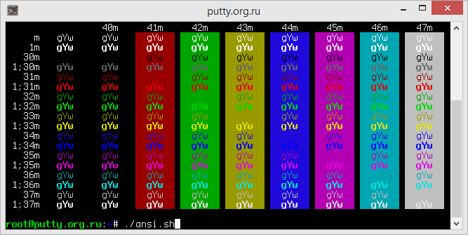 Pro PuTTY Color Scheme